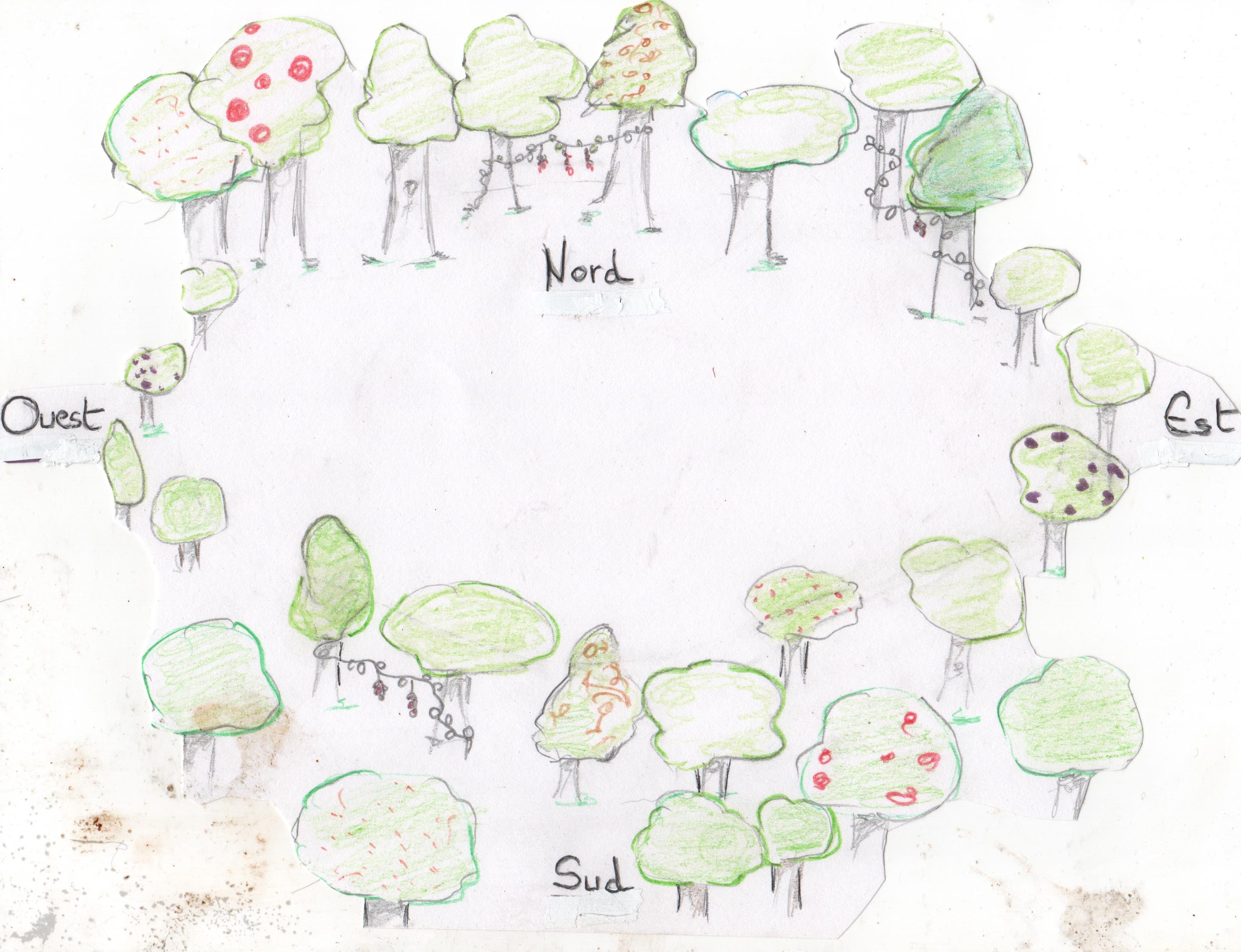 conception jardin foret