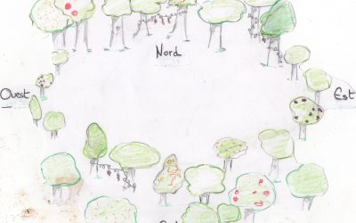 La conception de clairière dans un jardin-forêt