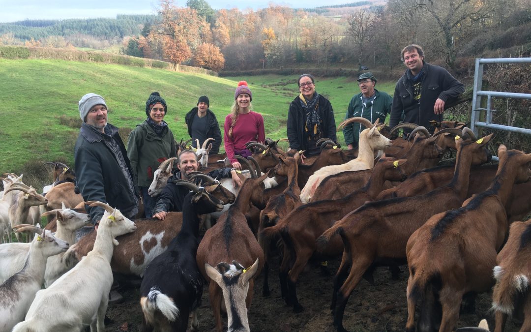 Chèvrerie expérimentale et forêt nourricière à Sivignon (71)